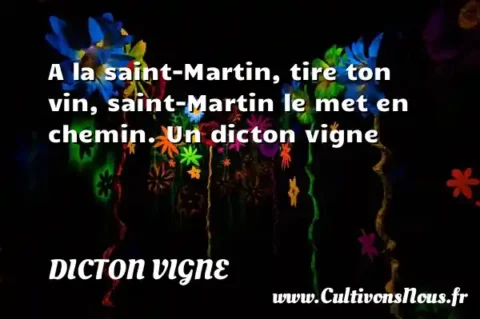 A la saint-Martin, tire ton vin, saint-Martin le met en chemin. Un dicton vigne DICTON VIGNE