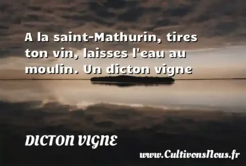 A la saint-Mathurin, tires ton vin, laisses l eau au moulin. Un dicton vigne DICTON VIGNE