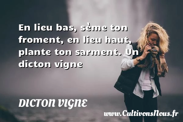 En lieu bas, sème ton froment, en lieu haut, plante ton - Dicton vigne