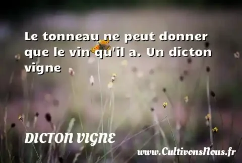 Le tonneau ne peut donner que le vin qu il a. Un dicton vigne DICTON VIGNE