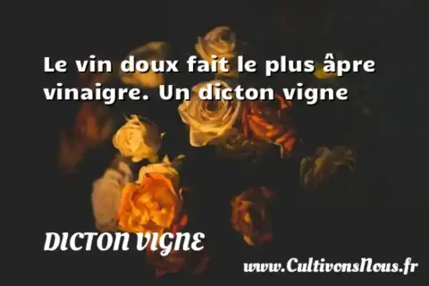Le vin doux fait le plus âpre vinaigre. Un dicton vigne DICTON VIGNE