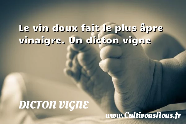 Le vin doux fait le plus âpre vinaigre. - Dicton vigne