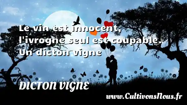 Le vin est innocent, l ivrogne seul est coupable. Un dicton vigne DICTON VIGNE