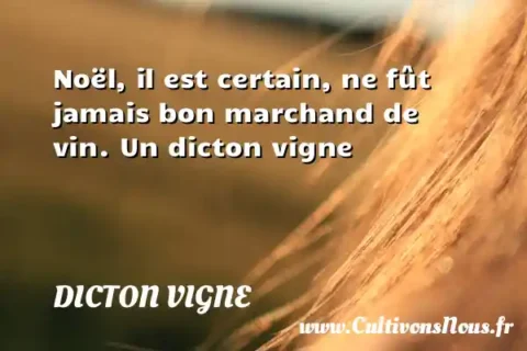 Noël, il est certain, ne fût jamais bon marchand de vin. Un dicton vigne DICTON VIGNE