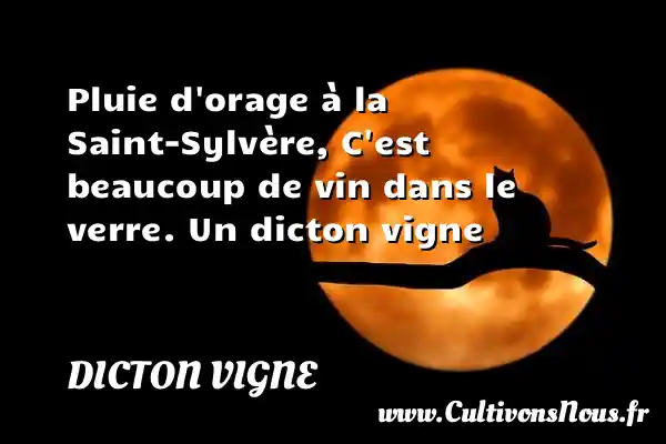 Pluie d orage à la Saint-Sylvère, C est beaucoup de vin dans le verre. Un dicton vigne DICTON VIGNE