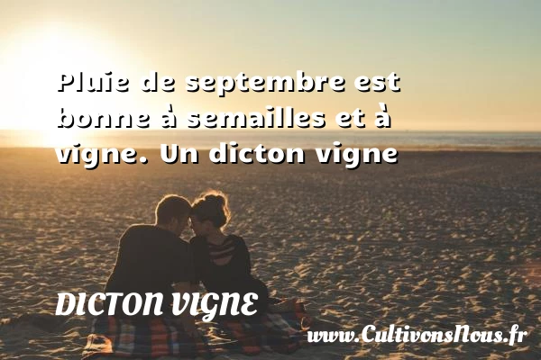 Pluie de septembre est bonne à semailles et - Dicton vigne