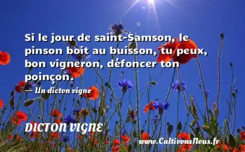 Si le jour de saint-Samson, le pinson boit au buisson, tu peux, bon vigneron, défoncer ton poinçon. - Un dicton vigne DICTON VIGNE