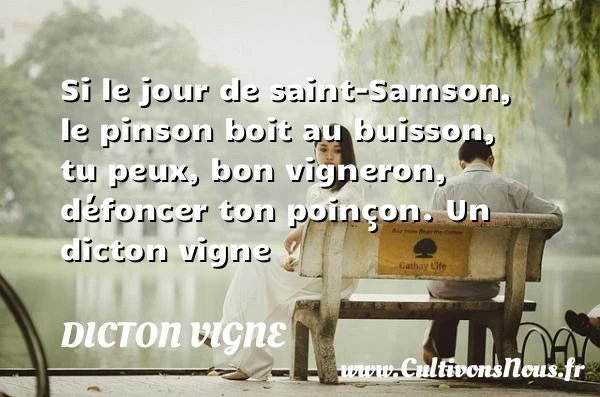 Si le jour de saint-Samson, le pinson boit au buisson, tu peux, bon vigneron, - Dicton vigne