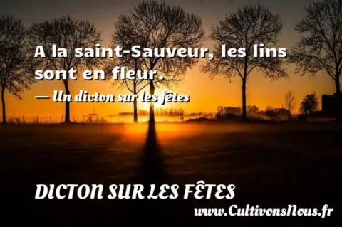 A la saint-Sauveur, les lins sont en fleur. - Un dicton sur les fêtes DICTON SUR LES FÊTES