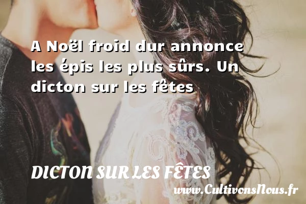 A Noël froid dur annonce les épis les - Dicton sur les fêtes