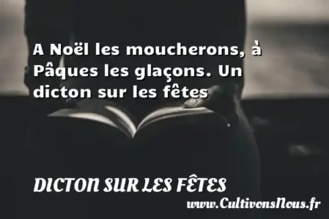 A Noël les moucherons, à Pâques les glaçons. Un dicton sur les fêtes DICTON SUR LES FÊTES