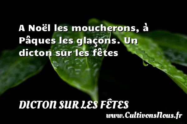 A Noël les moucherons, à Pâques les glaçons. - Dicton sur les fêtes