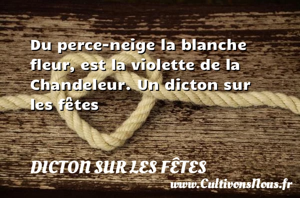 Du perce-neige la blanche fleur, est la violette de la - Dicton sur les fêtes