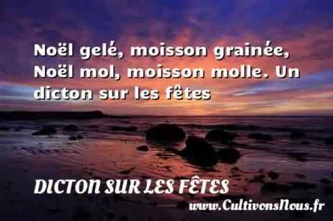 Noël gelé, moisson grainée, Noël mol, moisson molle. Un dicton sur les fêtes DICTON SUR LES FÊTES