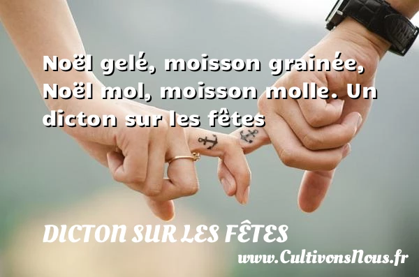 Noël gelé, moisson grainée, Noël mol, moisson molle. - Dicton sur les fêtes