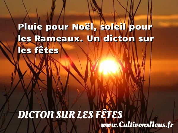 Pluie pour Noël, soleil pour les Rameaux. - Dicton sur les fêtes