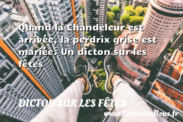 Quand la Chandeleur est arrivée, la perdrix grise - Dicton sur les fêtes