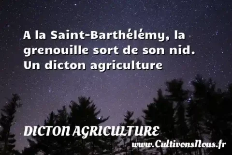 A la Saint-Barthélémy, la grenouille sort de son nid. Un dicton agriculture DICTON AGRICULTURE