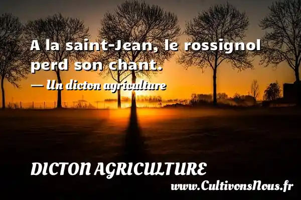 A la saint-Jean, le rossignol perd son chant. Un dicton sur l'agriculture