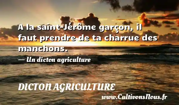 A la saint-Jérôme garçon, il faut prendre de ta charrue des manchons. - Un dicton agriculture DICTON AGRICULTURE