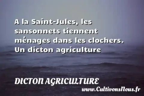 A la Saint-Jules, les sansonnets tiennent ménages dans les clochers. Un dicton agriculture DICTON AGRICULTURE