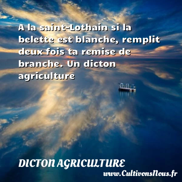 A la saint-Lothain si la belette est blanche, remplit - Dicton agriculture