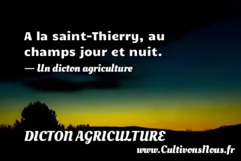 A la saint-Thierry, au champs jour et nuit. - Un dicton agriculture DICTON AGRICULTURE
