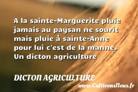 A la sainte-Marguerite pluie jamais au paysan ne sourit mais pluie à sainte-Anne pour lui c est de la manne. Un dicton agriculture DICTON AGRICULTURE