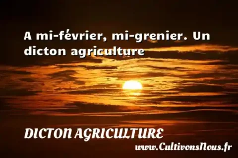 A mi-février, mi-grenier. Un dicton agriculture DICTON AGRICULTURE