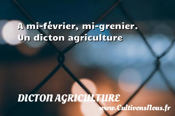 A mi-février, mi-grenier. - Dicton agriculture