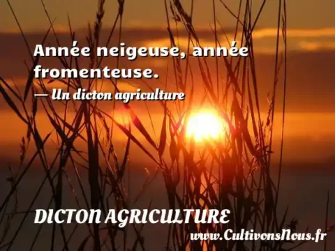 Année neigeuse, année fromenteuse. - Un dicton agriculture DICTON AGRICULTURE
