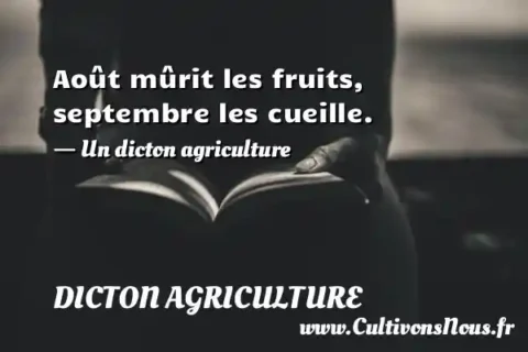 Août mûrit les fruits, septembre les cueille. - Un dicton agriculture DICTON AGRICULTURE