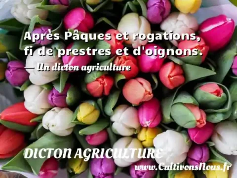 Après Pâques et rogations, fi de prestres et d oignons. - Un dicton agriculture DICTON AGRICULTURE