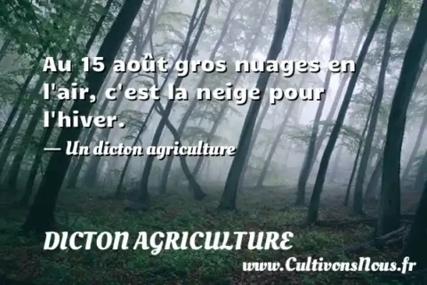 Au 15 août gros nuages en l air, c est la neige pour l hiver. - Un dicton agriculture DICTON AGRICULTURE