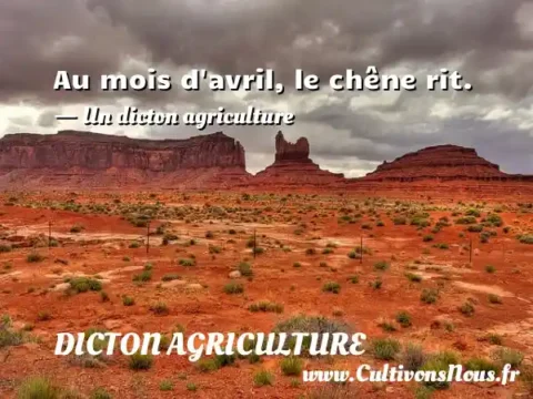 Au mois d avril, le chêne rit. - Un dicton agriculture DICTON AGRICULTURE