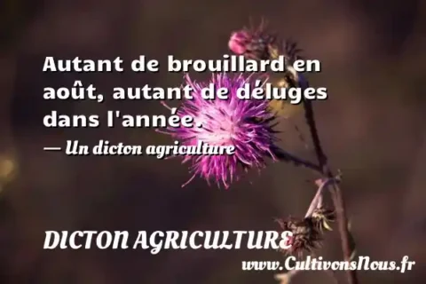 Autant de brouillard en août, autant de déluges dans l année. - Un dicton agriculture DICTON AGRICULTURE