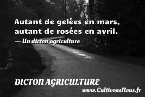 Autant de gelées en mars, autant de rosées en avril. - Un dicton agriculture DICTON AGRICULTURE
