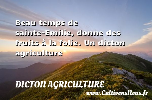 Beau temps de sainte-Emilie, donne des fruits à - Dicton agriculture