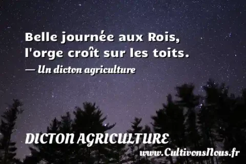 Belle journée aux Rois, l orge croît sur les toits. - Un dicton agriculture DICTON AGRICULTURE