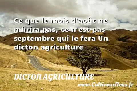 Ce que le mois d août ne mûrira pas, ce n est pas septembre qui le fera Un dicton agriculture DICTON AGRICULTURE