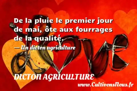 De la pluie le premier jour de mai, ôte aux fourrages de la qualité. - Un dicton agriculture DICTON AGRICULTURE