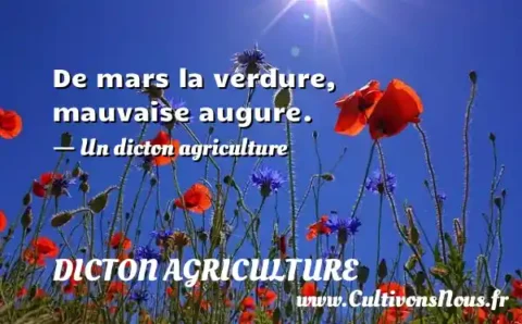 De mars la verdure, mauvaise augure. - Un dicton agriculture DICTON AGRICULTURE