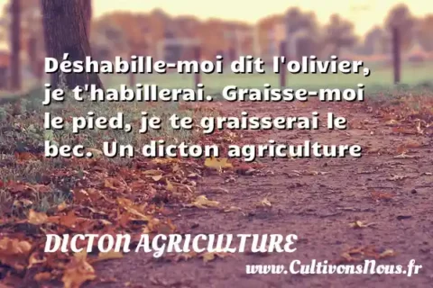 Déshabille-moi dit l olivier, je t habillerai. Graisse-moi le pied, je te graisserai le bec. Un dicton agriculture DICTON AGRICULTURE