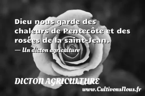 Dieu nous garde des chaleurs de Pentecôte et des rosées de la saint-Jean. - Un dicton agriculture DICTON AGRICULTURE