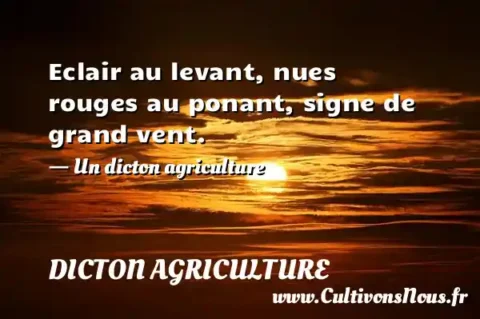 Eclair au levant, nues rouges au ponant, signe de grand vent. - Un dicton agriculture DICTON AGRICULTURE
