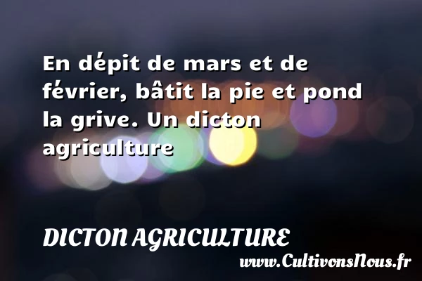 En dépit de mars et de février, bâtit la pie et - Dicton agriculture