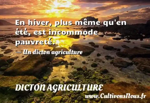 En hiver, plus même qu en été, est incommode pauvreté. - Un dicton agriculture DICTON AGRICULTURE