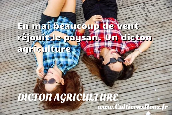 En mai beaucoup de vent réjouit le paysan. - Dicton agriculture
