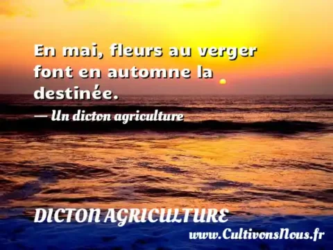 En mai, fleurs au verger font en automne la destinée. - Un dicton agriculture DICTON AGRICULTURE