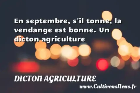 En septembre, s il tonne, la vendange est bonne. Un dicton agriculture DICTON AGRICULTURE